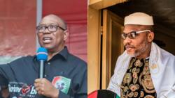 IPOB: Peter Obi breaks silence on sit-at-home, reveals what southeast governors must do to stop violence