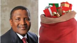 Africa's richest man Aliko Dangote makes extra N19.8bn before Christmas in just 24 hours, now 97th richest man