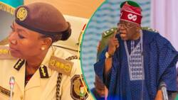 Immigration gives new directive as Tinubu orders opening of borders with Niger Republic