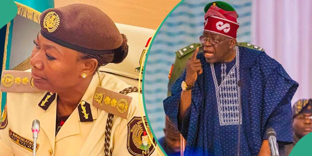 Immigration gives new directive as Tinubu orders opening of borders with Niger Republic