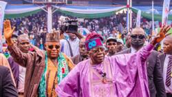 2023 presidency: Tinubu releases list of states he will win, gives reason