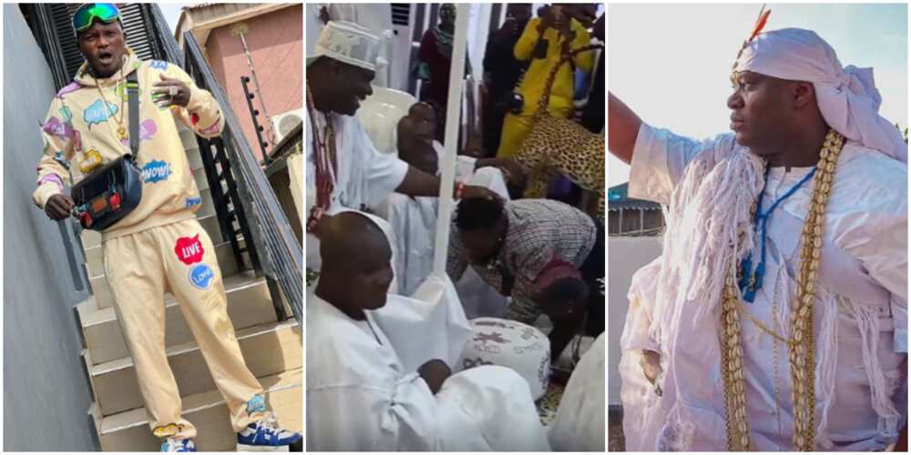 Portable visits Ooni Portable visits Ooni