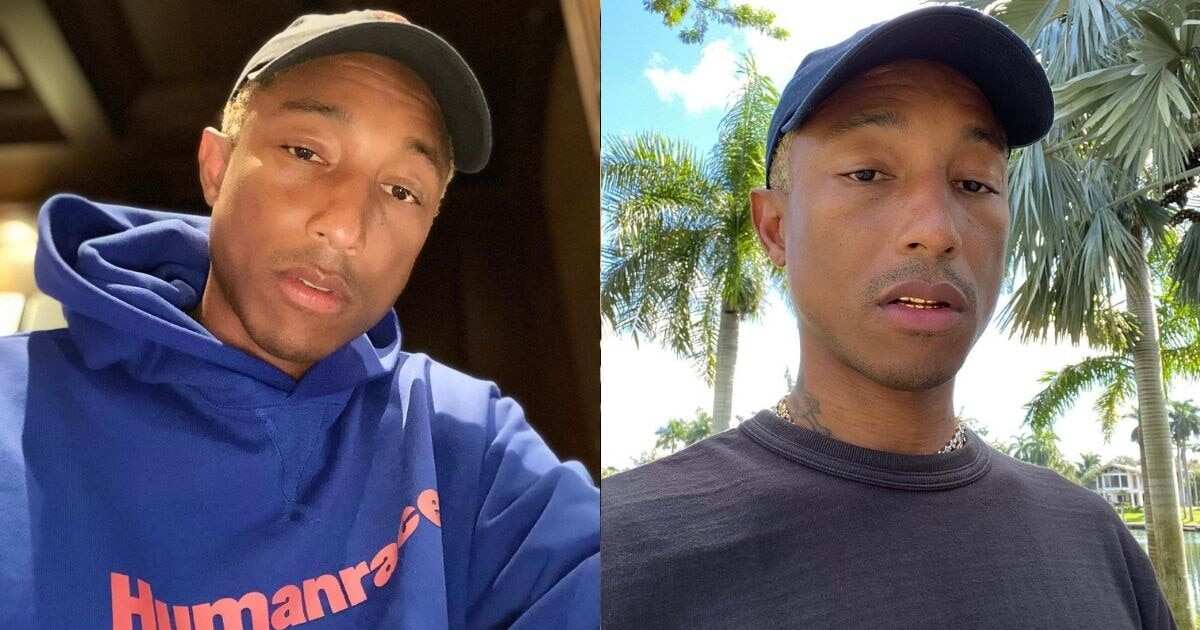 Fans astonished by Pharrell Williams' real age as singer reaches milestone  birthday - Mirror Online