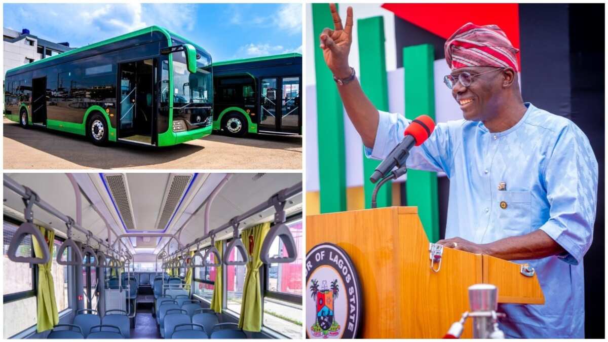 Gov SanwoOlu shares photos of first batch of electric buses in Lagos
