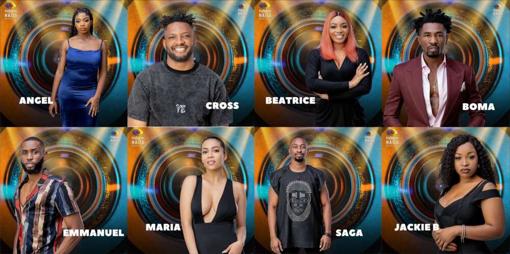 Big Brother Naija housemates