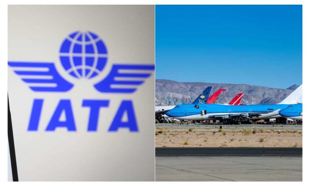 IATA, foreign airlines. Nigeria