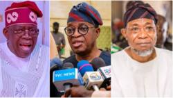 How we'll deal with members who worked against Oyetola, Tinubu during governorship, general poll, Osun APC reveals