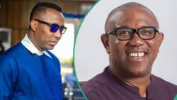 How I helped Peter Obi overcome impeachment plot by Obasanjo, Sowore shares details