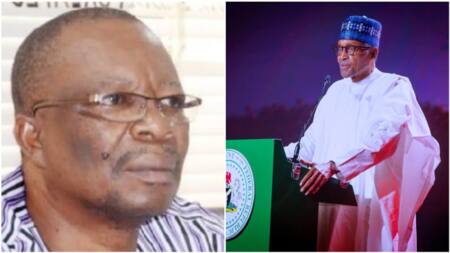 Exclusive: Will ASUU strike affect APC in 2023 election? Stakeholder reveals what Nigerians should expect