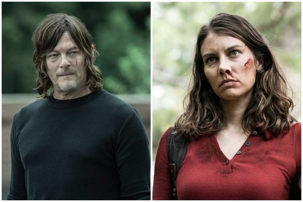 Will there be a season 12 of The Walking Dead? Will there be a season 12 of The Walking Dead?