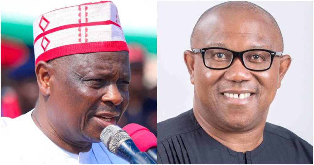 Chatham House Institute, Peter Obi, Labour Party, the New Nigeria Peoples Party (NNPP), Rabiu Kwankwaso