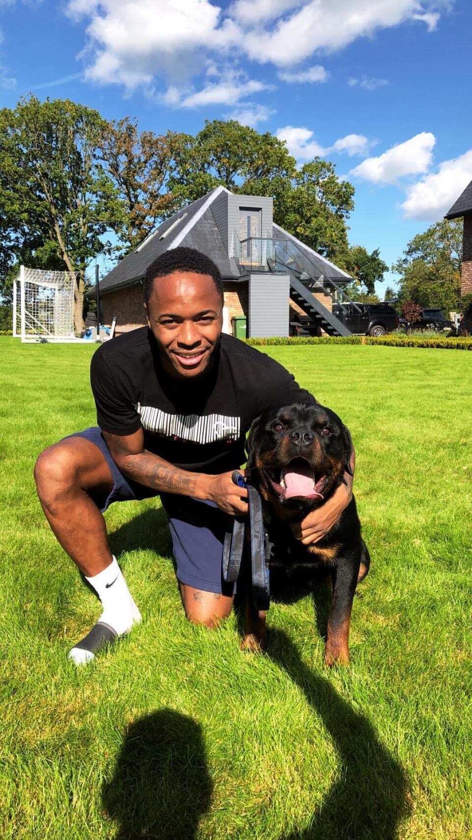 Manchester City star Raheem Sterling buys new dog to protect his family