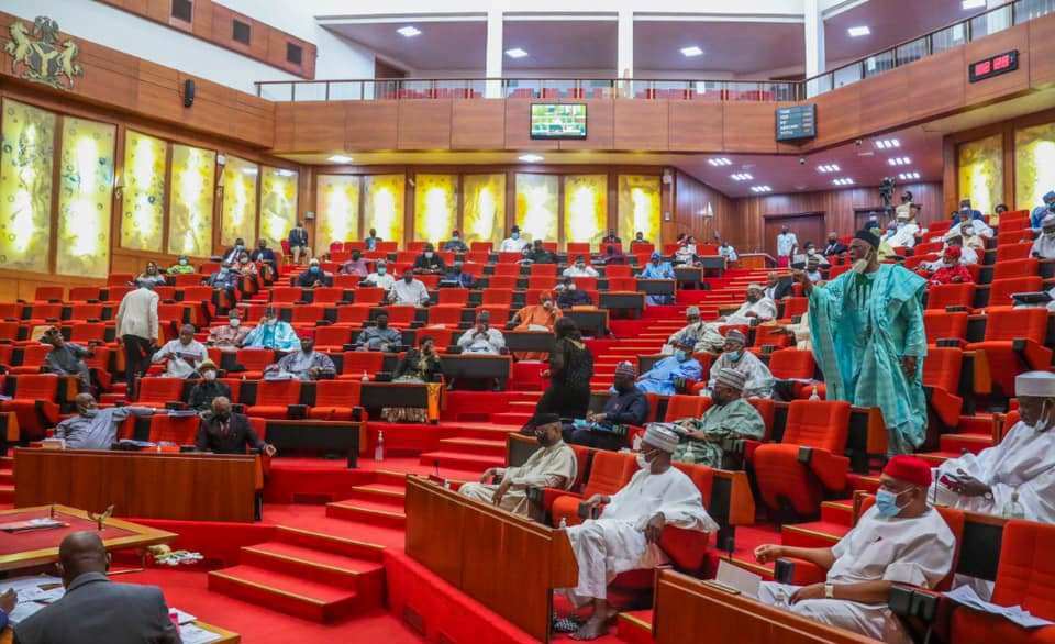 Nigerian Senate during plenary