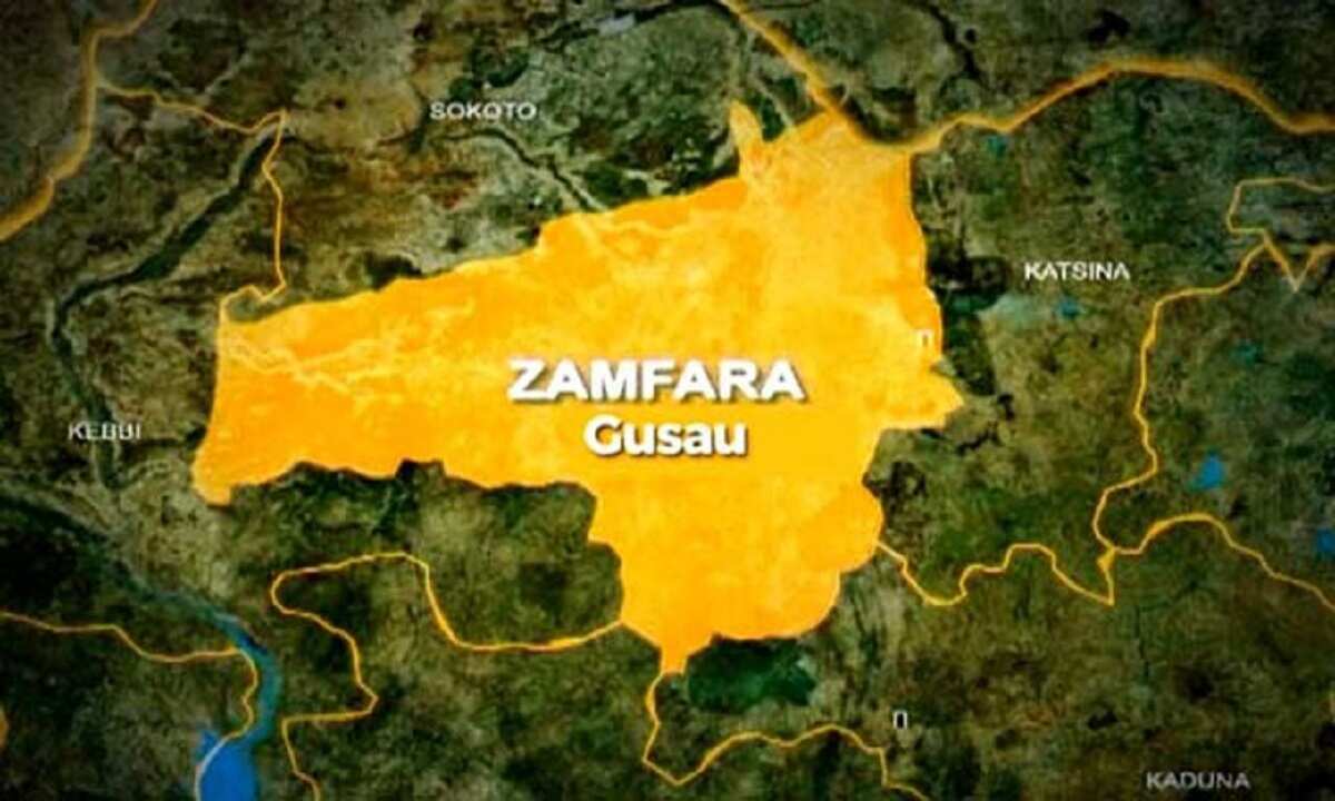 Masu Zanga-Zanga Sun Tafi Da Gawarwaki Zuwa Fadar Sarkin Zurmi a ...