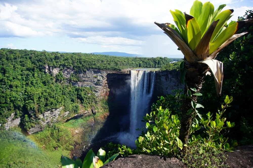 Guyana claims to already be carbon neutral, due to its small population and economy coupled with lush forests, such as in Kaieteur National Park