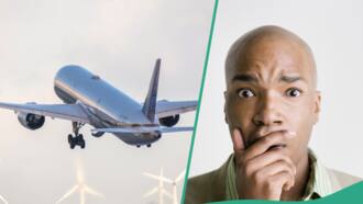 air travel companies nigeria