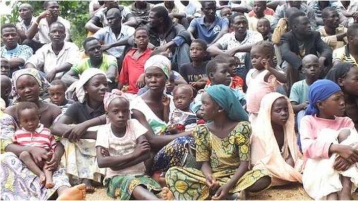 Report: Parents marry off young daughters for foodstuff in Benue IDPs’ camp