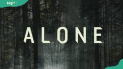 What are the best seasons of Alone to watch? No spoilers