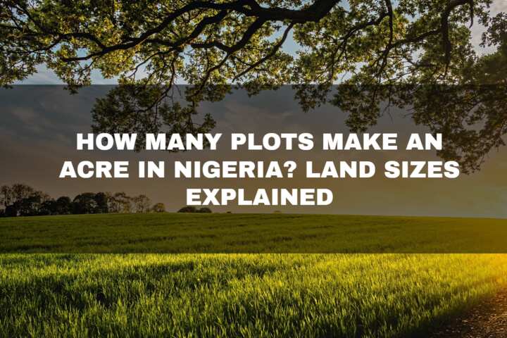 how-many-plots-make-an-acre-in-nigeria-land-sizes-explained-legit-ng