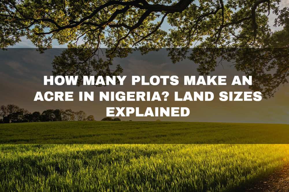 Verzadigen Literatuur bundel How many plots make an acre in Nigeria? Land sizes explained - Legit.ng