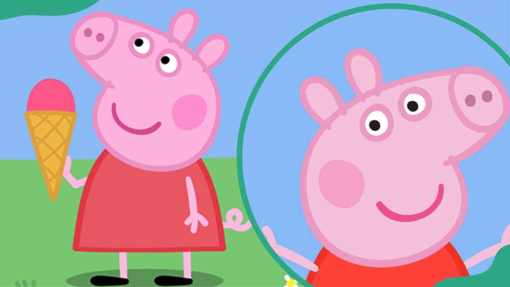 Peppa Pig's height Peppa Pig's height