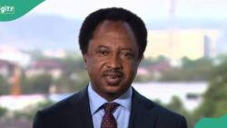 Shehu Sani exposes how lawmakers carry out budget padding