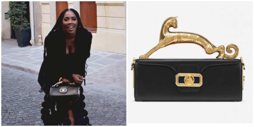 Photos of Tiwa Savage and her designer bag.