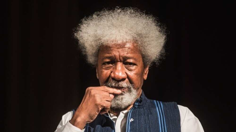 Lola Shoneyin Debunks Alleged Death of Professor Wole Soyinka