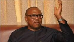 BREAKING: Keyamo in trouble for saying Peter Obi planning assassination attempt