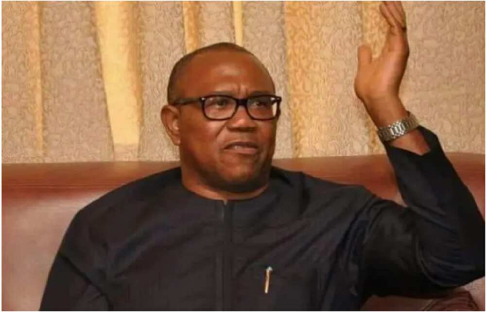 Peter Obi, Labour Party, Social Democratic Party, SDP, 2023 general election, Benue state