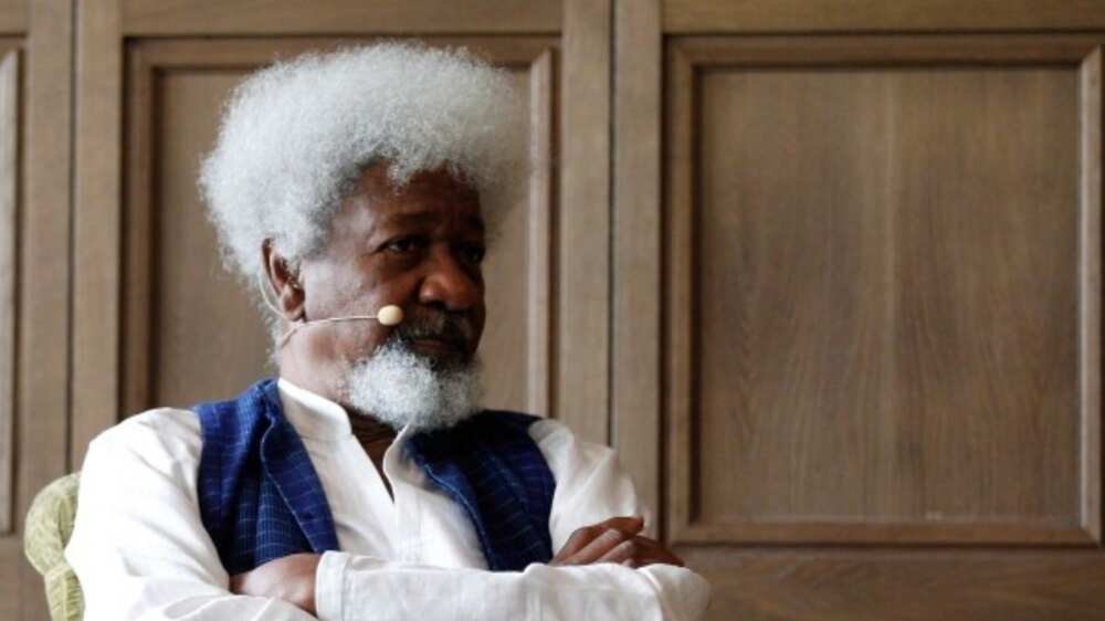 Herdsmen crisis: Wole Soyinka's son reacts to report claiming herders attacked his father