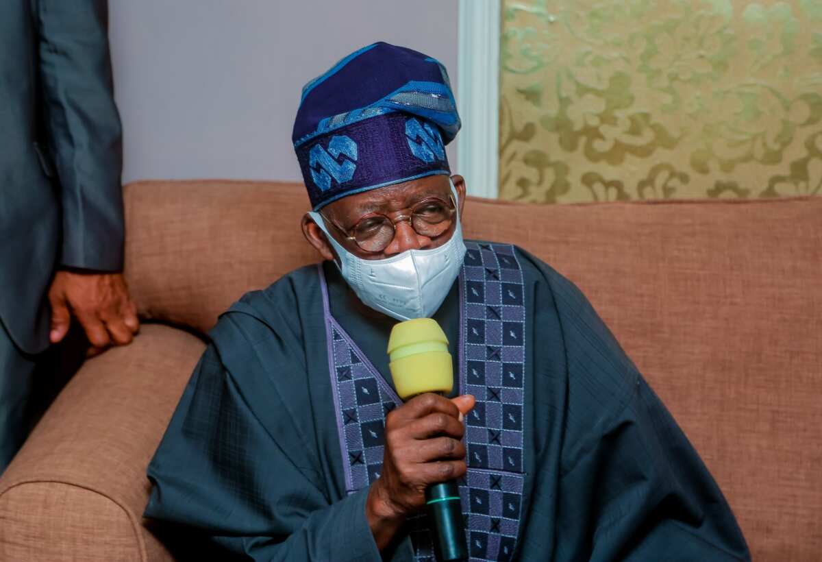 Presidency 2023: What these 5 popular pastors said about Tinubu's ambition