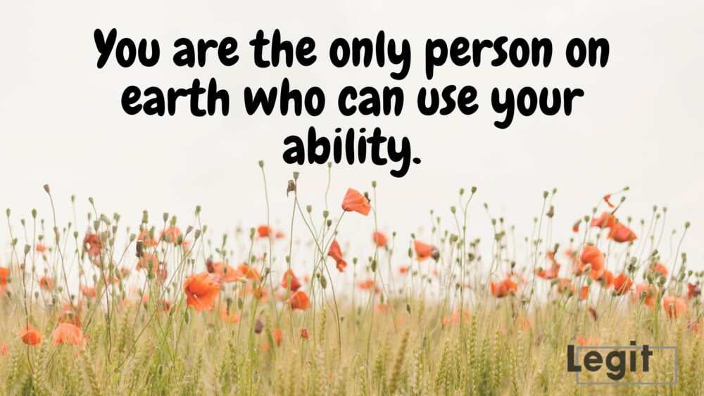 see you at the top by Zig Ziglar see you at the top by Zig Ziglar