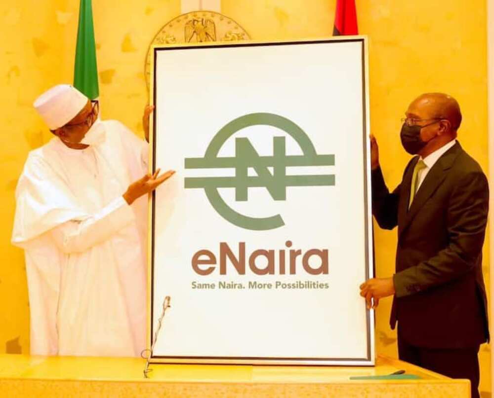 The e-naira