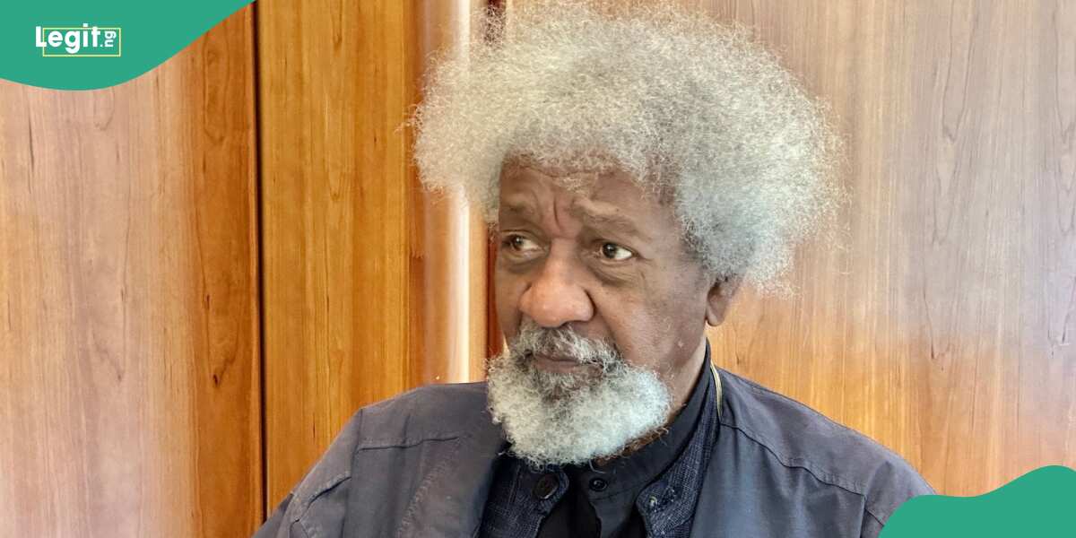 “Get head examined”: Soyinka sends serious warning to Peter Obi's supporters, Obidients, others