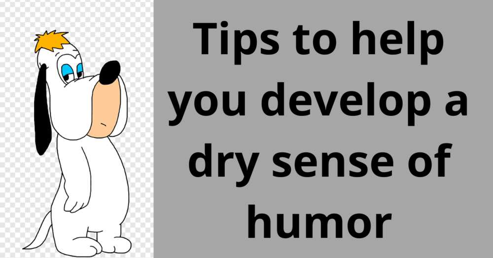 What is a dry sense of humor and how can you tell if you have it? Legit.ng