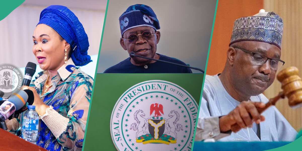 Video: Tense drama as Tinubu's minister, lawmakers fight dirty