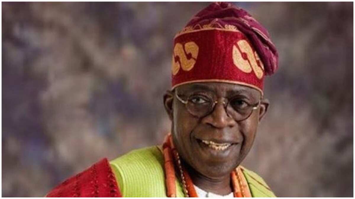 2023: Shelve your presidential bid to preserve Nigeria's corporate existence, Ohanaeze secretary tells Tinubu