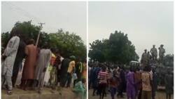 Neman Alawus: Bidiyon Tubabbun Yan Boko Haram Suna Zanga-Zanga a Borno, Sun Rufe Hanya