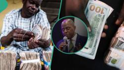 Naira hits N1,600/$, CBN reacts, gives fresh orders to Access, UBA, others on dollar sale to customers