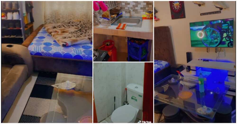 One-room, man flaunts his one-room apartment with toilet, he is clean, fine inteior of one-room house