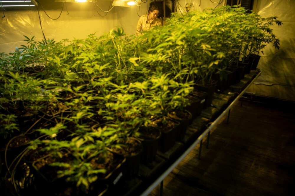 JuicyFields offered returns of up to 66 percent JuicyFields offered returns of up to 66 percent