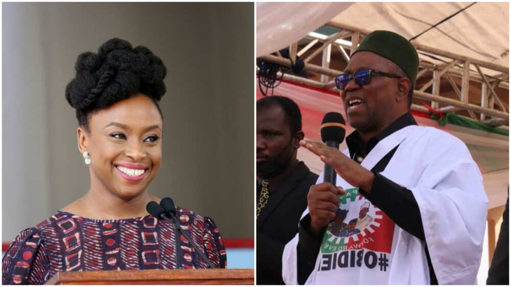 Chimamanda Adichie/Peter Obi/2023 Election/South East/Igbo