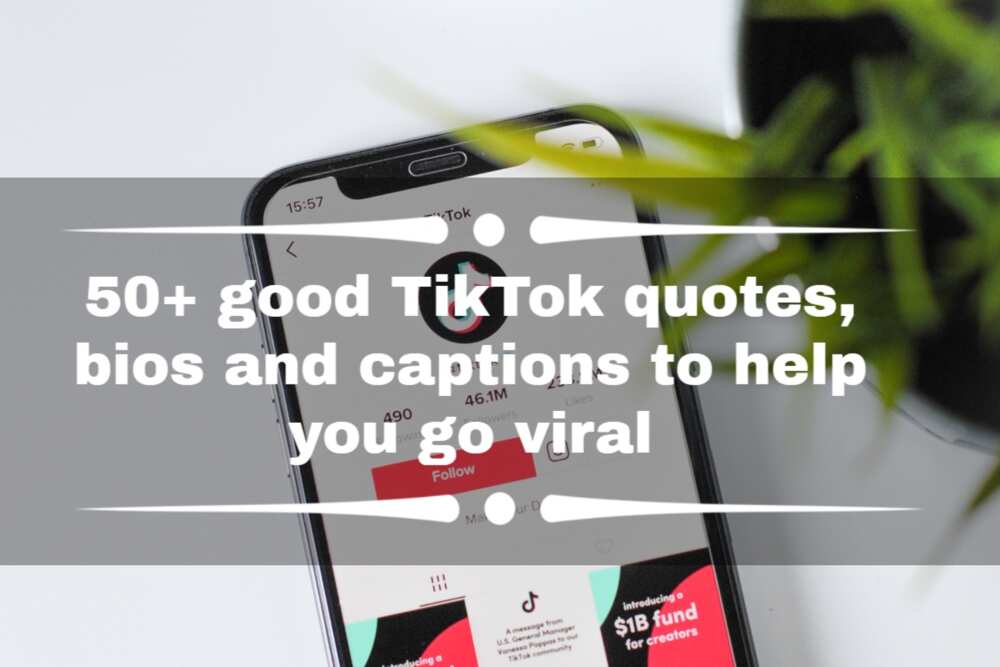 tiktok quotes