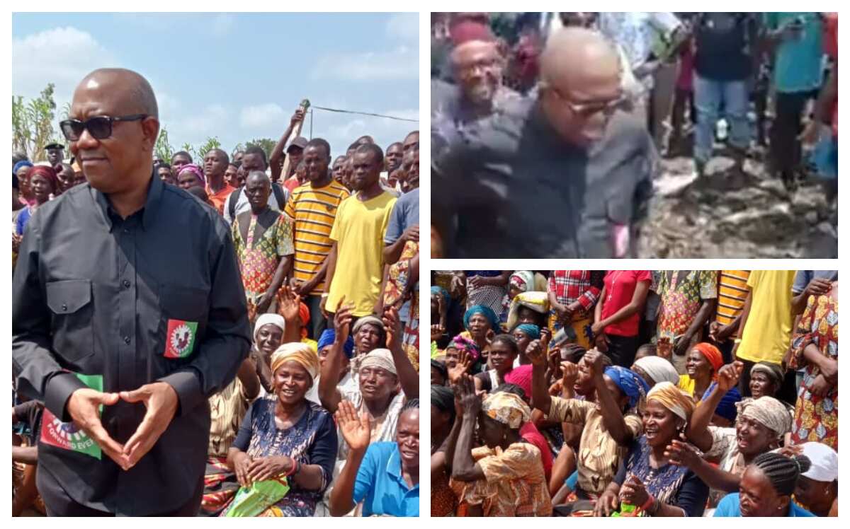 Viral Video of Peter Obi Riding in a Canoe To Visit Flood Victims in ...