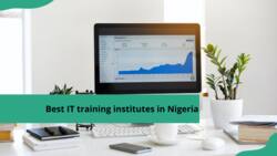 Best IT training institutes in Nigeria: Find out which ones they are