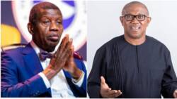 ‘Most unacceptable’: Peter Obi reacts, reveals identity of those verbally attacking, insulting Adeboye