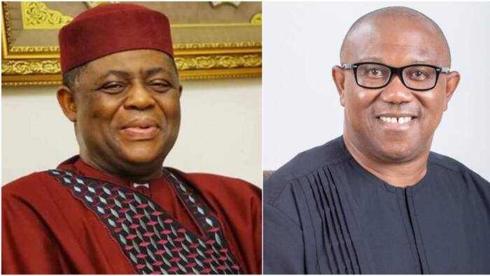 Prominent APC Chieftain drops bombshell, says “Peter Obi does not have a hope in hell”