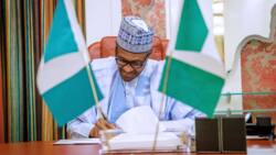 Buhari approves tenure extension of trustees of Police Trust Fund