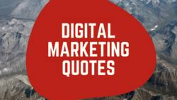 The ultimate list of top digital marketing quotes for inspiration